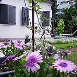 Lana Rijeka